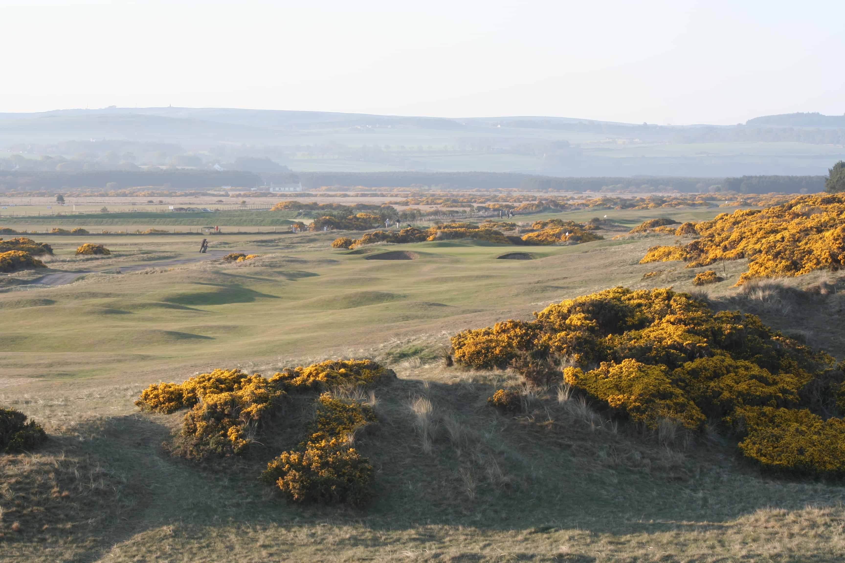 Montrose - Medal Course - Pioneer Golf